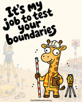 Surveyor who tests your boundaries